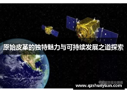 原始皮革的独特魅力与可持续发展之道探索