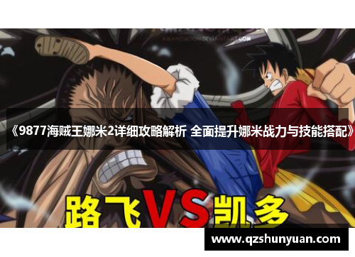 《9877海贼王娜米2详细攻略解析 全面提升娜米战力与技能搭配》
